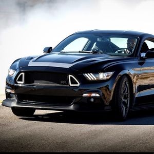 Meet your Posher, Rene